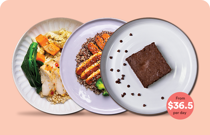 Meals To Fuel Focus and Vitality